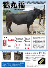 http://agjapan.co.jp/wagyu/images/200804maru-thumb.jpg