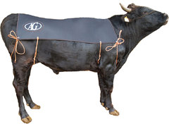 http://agjapan.co.jp/wagyu/images/ag270B-thumb.jpg