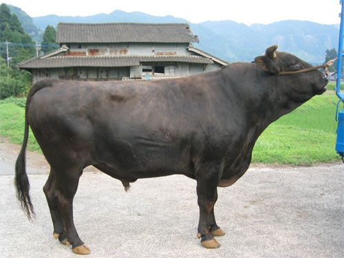 fukufuku.jpg